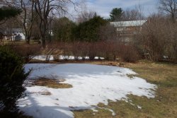 back yard snow field