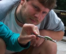 Steve examines a caterpillar.