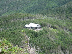 building amidst trees