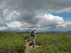 Scott looks over a flat area of scrub