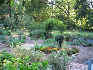 garden at rear of B&B