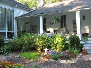 garden at rear of B&B